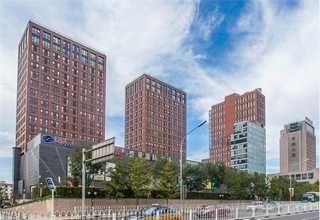 泰州工業(yè)污泥槳葉烘干機(jī)公司